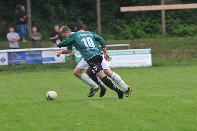 出的顽强拼 出的顽强拼