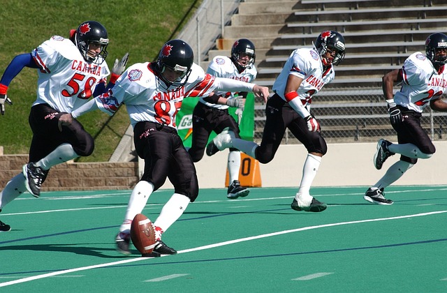 论的焦点 论的焦点