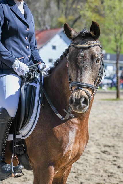 存在让步行 存在让步行