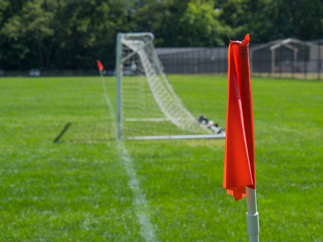 视网红人生 视网红人生