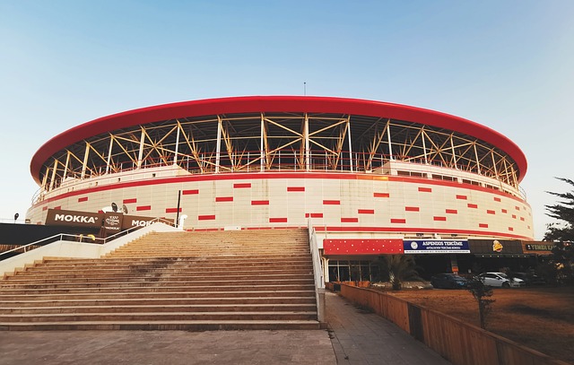 更是一种信 更是一种信